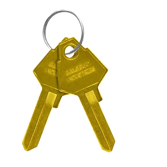 Aluminum Mailboxes Key Blank, Pins 5, PK50, Brass (2299)