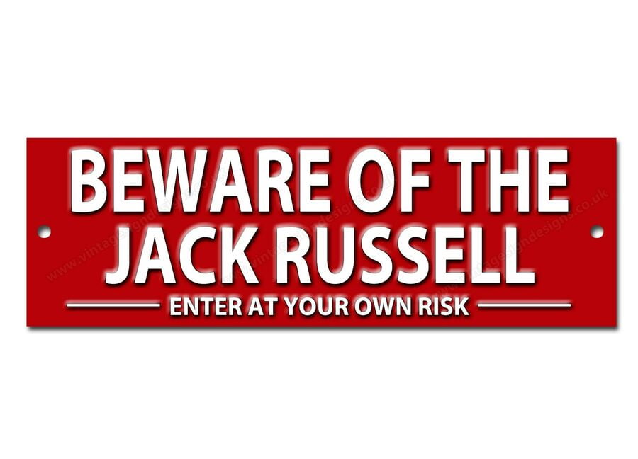 Can A Jack Russell Live Outside
