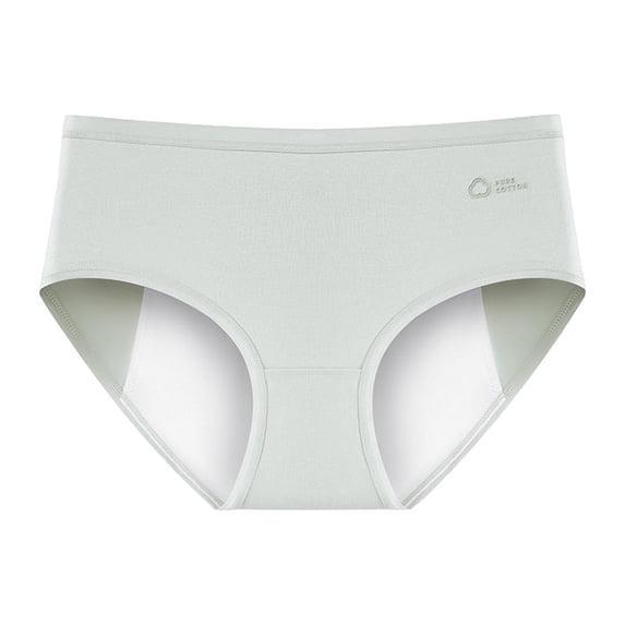 Alun Women's Underwear Menstrual Leak Proof Soft Elastic Comfortable Panties Pure Color Smooth Seamless Full Coverage Period Panties for Ladies Light Gray XL