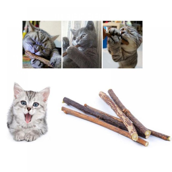 Alvage 20pcs Pure Natural Wood Polygonum Sticks Pet Cat Molar Toothpaste Stick Cat Cleaning Teeth