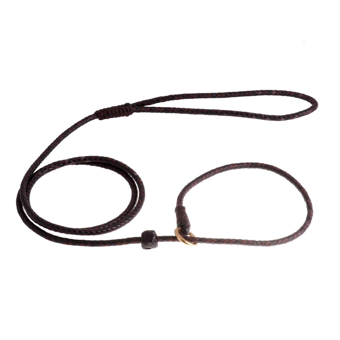 Beautiful view of Gentle Leashes For Large Dogs