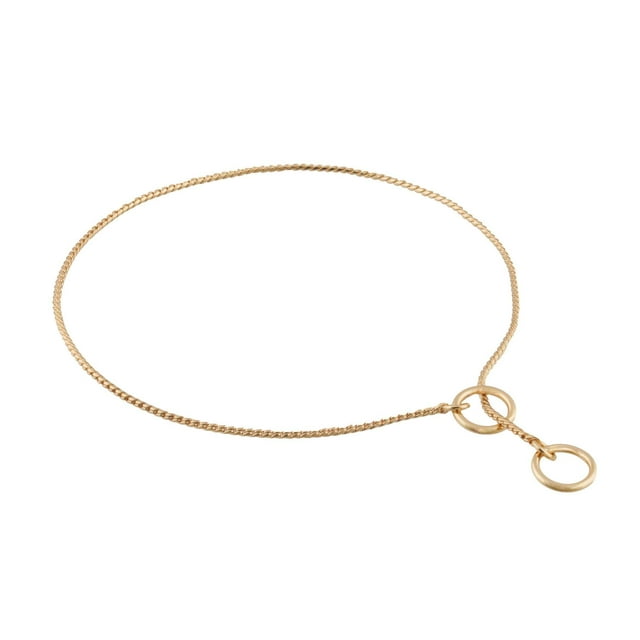 Alvalley Metal Chain Dog DHF10 Show Collar Pet Slip Collar for Shows