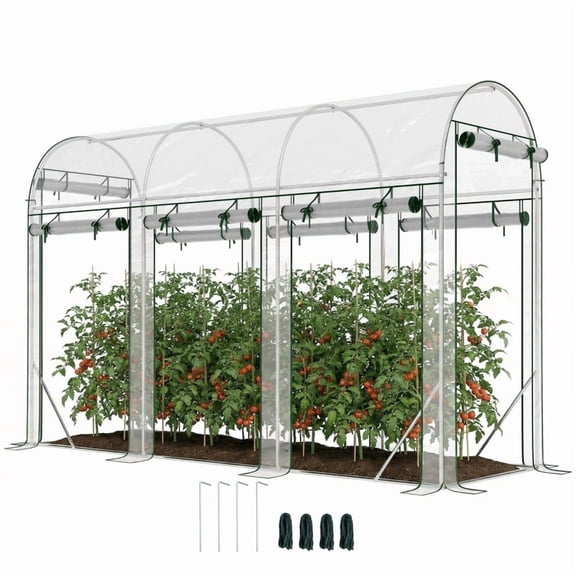 Alvantor Greenhouse Walk-in Tunnel Greenhouse with 8 Roll-Up Doors 116.1"x39.4"x77.6" Clear
