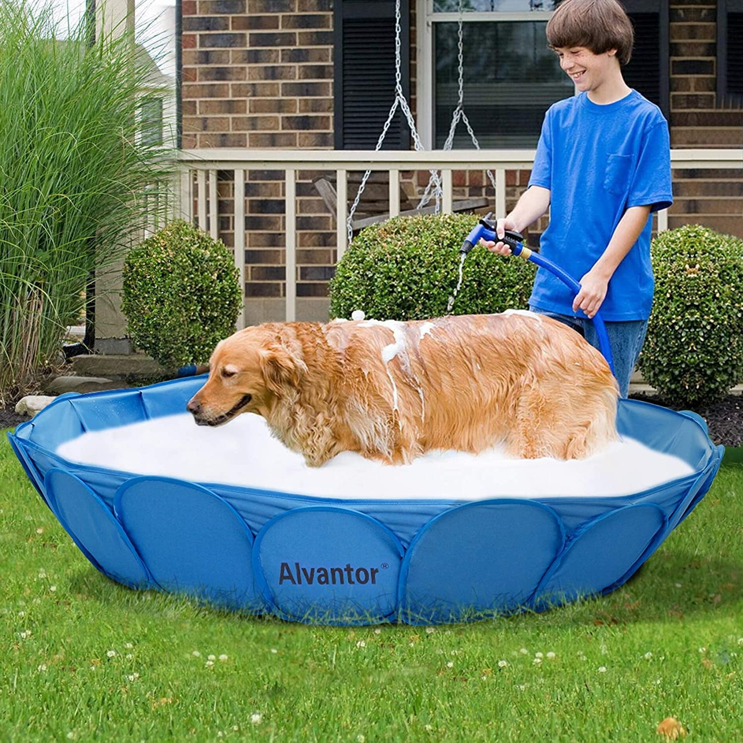 Alvantor Pet Dog Pool Bath Swimming Tub Kiddie Play Pool, 63 x 12 inch Collapsible Foldable Portable for Dogs Cats and Kids Blue
