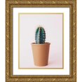 thumbnail image 1 of Alvarez, Cynthia 15x18 Gold Ornate Wood Framed with Double Matting Museum Art Print Titled - Lonely Cactus, 1 of 4
