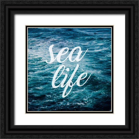 Alvarez, Cynthia 26x26 Black Ornate Wood Framed with Double Matting Museum Art Print Titled - Insta M