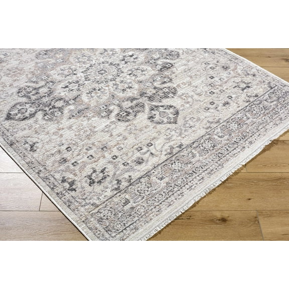 BoutiqueRugs Alvaro Traditional Area Rug - Ivory, Taupe, Charcoal - 5'3" x 7'
