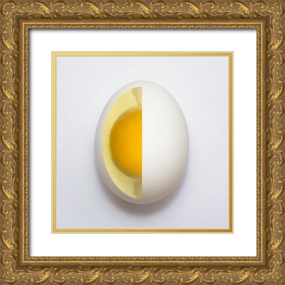 Alves, Adelino 15x15 Gold Ornate Wood Framed with Double Matting Museum Art Print Titled - Inner Egg