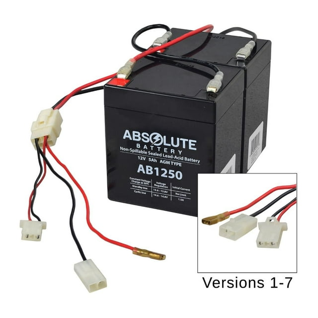 AlveyTech 24 Volt Battery Pack (Versions 1-7) - For the Razor E100, E100 Glow, E125 Electric Scooter