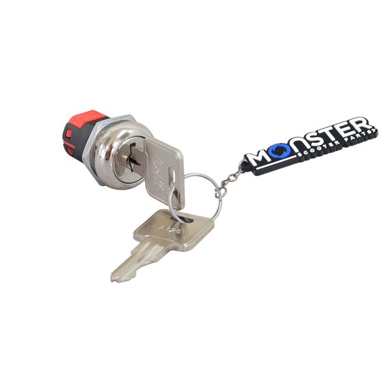 AlveyTech Key Switch with Standard Metal Head Keys for Amigo, Go-Go, & Pride Mobility Scooters - (SWTKEY1011 / 20133500 / 13501) Replacement Panel Mount Assembly with 2 Keys for Electric Scooter