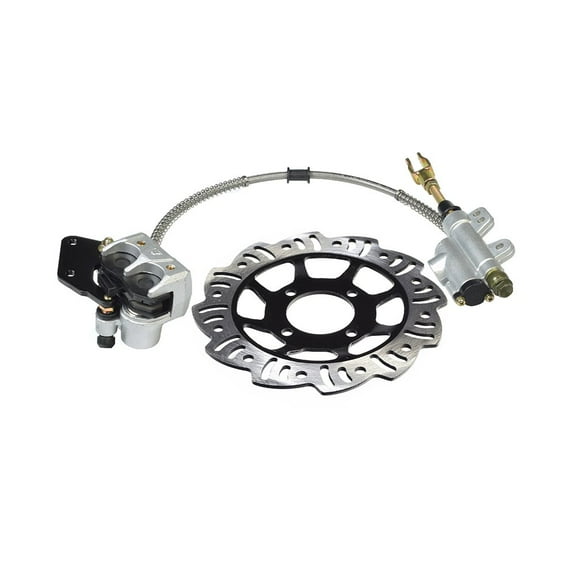 AlveyTech Rear Foot Brake, Disc, Pads, & Master Cylinder Assembly for 110cc & 125cc Dirt Bikes