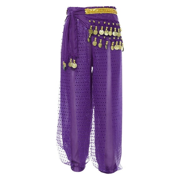 Alvivi Kids Girls Belly Dance Harem Pants Beads Coin Tribal Arabic Indian Dance Trousers with Hip Scarf Purple 3-5