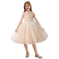 thumbnail image 1 of Alvivi Kids Sleeveless Chiffon Tulle Dress Flower Girls Wedding Pageant Bridesmaid Dress Birthday Party Champagne 130, 1 of 6