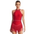 thumbnail image 1 of Alvivi Women's Rhinestones Tassel Fringe Bodysuit Leotard Ballroom Latin Tango Salsa Dance Dress Burgundy XXL, 1 of 7