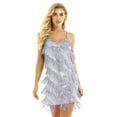 thumbnail image 1 of Alvivi Women's Sparkly Sequins Tassels Fringe Flapper Dress Latin Tango Belly 1920s Dance Costume Silver-gray One_Size, 1 of 7