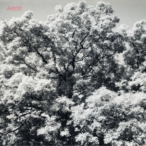 Astrd Always Digging the Same Hole (CD) Album