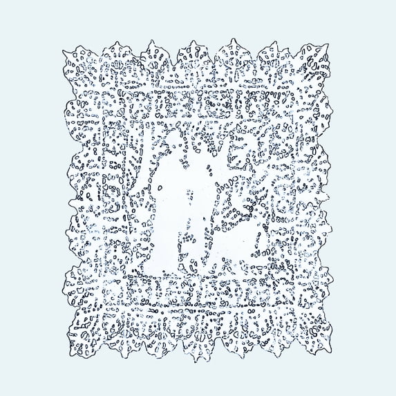 Always + Forever (LP)