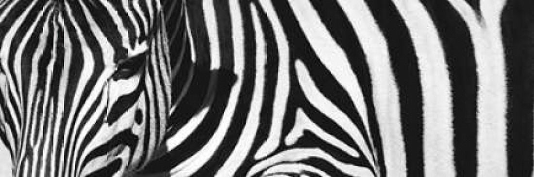 Always Here Canvas Art - Jorge Llovet (12 x 36)