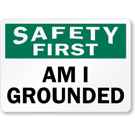 Am I Grounded Weatherproof Metal Sign Size: 8 x 12 Inch