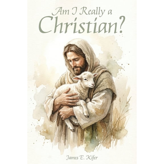 Am I Really a Christian, (Paperback)