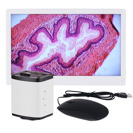 AmScope 1080p HDMI Microscope C-mount Camera + HD Monitor New