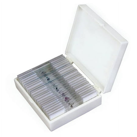 AmScope 25 Glass Prepared Zoological and Botanical Microscope Slides with Plastic Box New