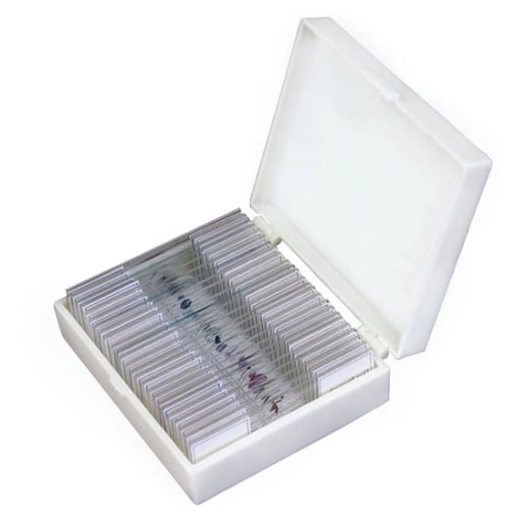 AmScope 25 Glass Prepared Zoological and Botanical Microscope Slides with Plastic Box New