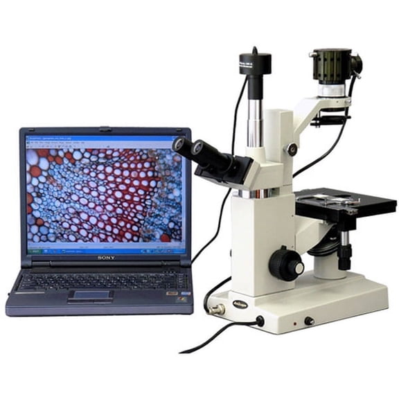 AmScope 3MP USB Camera + Inverted Tissue Culture Microscope 40X-640X New