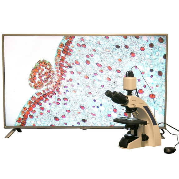 AmScope 40X-1000X Plan Infinity Kohler Laboratory Compound Microscope w 1080 HDMI Camera New