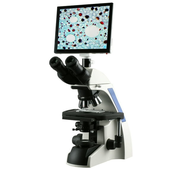 AmScope 40X-1000X Plan Infinity Laboratory Compound Microscope with LCD Touch Pad Screen New
