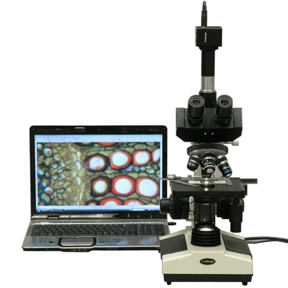 AmScope 40X-1600X Doctor Veterinary Clinic Biological Compound Microscope + 1.3MP Camera New