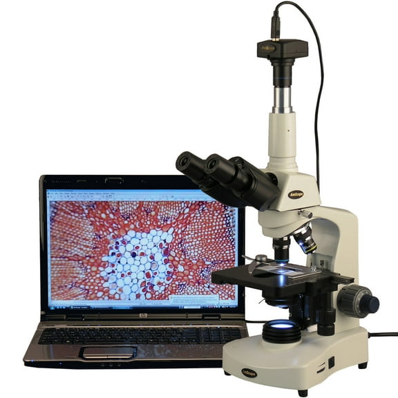 AmScope 40X-2000X 3W LED Siedentopf Trinocular Compound Microscope + 8MP Camera New