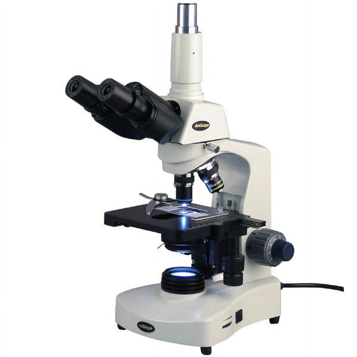 AmScope 40X-2000X 3W LED Siedentopf Trinocular Compound Microscope New ...