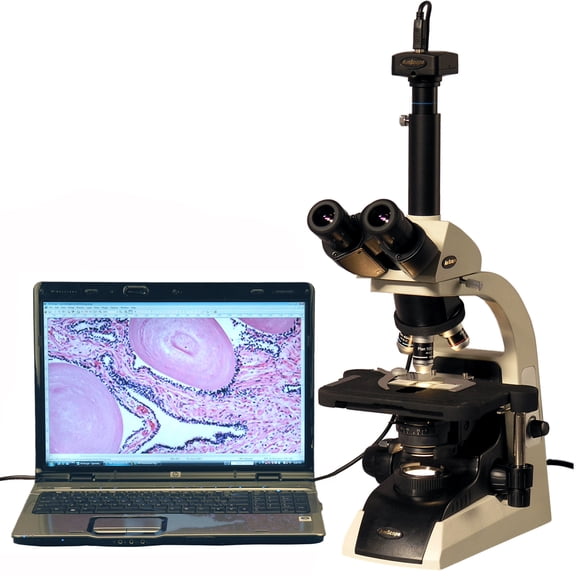 AmScope 40X-2500X Infinity Plan Trinocular Biological Microscope with 5MP Digital Camera New