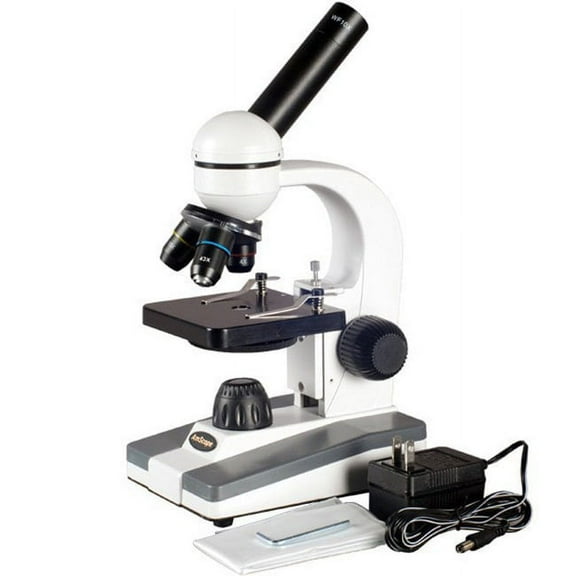 AmScope 40x-800x Biological Science Student Compound Microscope
