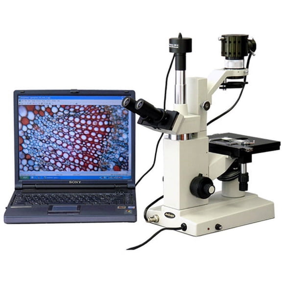 AmScope Inverted Tissue Culture Microscope 40X-640X + 10MP Camera New