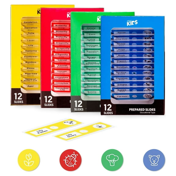 AmScope Kids Plastic Prepared Microscope Slides of Animals Insects Plants Flowers Sample Specimens, 48pc