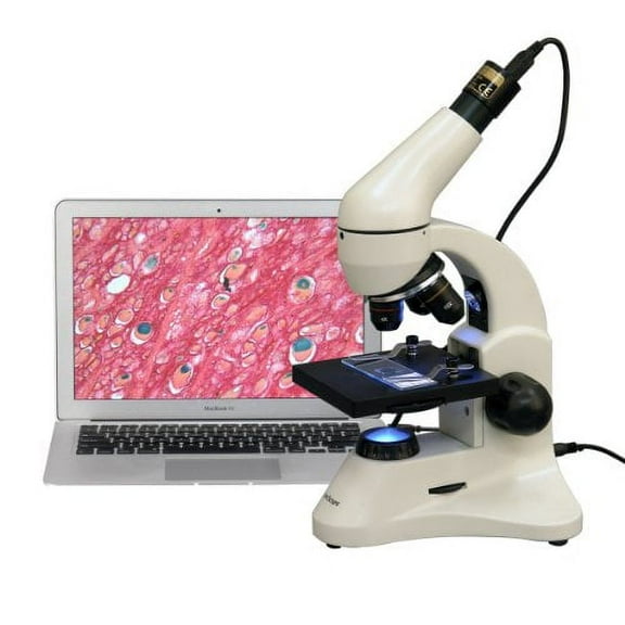 AmScope M120C-2L-PB10-E2 Digital Microscope, WF10x and WF25x Eyepieces, 40x-1000x Magnification, Brightfield, Upper and