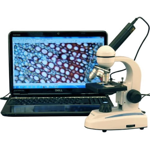 AmScope M149B-E Digital Compound Monocular Microscope, WF10x and WF20x Eyepieces, 40x-800x Magnification, LED Illuminati