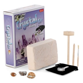 AmScope Natural Gemstone Exploration Kit