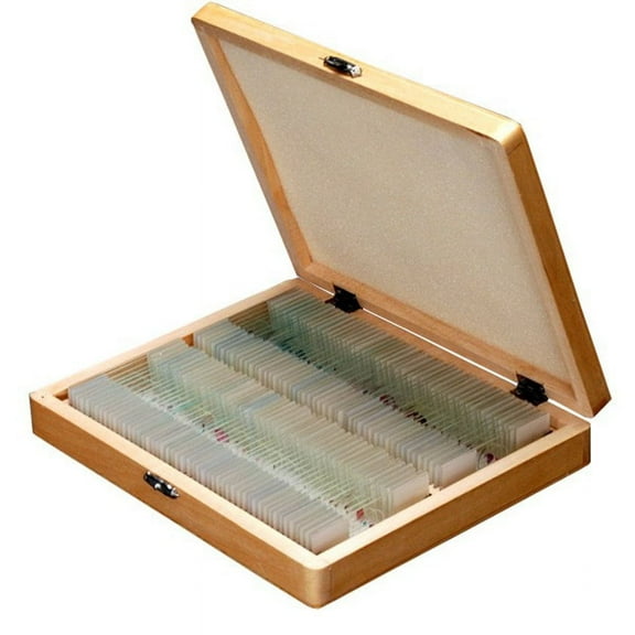 AmScope PS100D Prepared Microscope Slide Set for Basic Biological Science ..