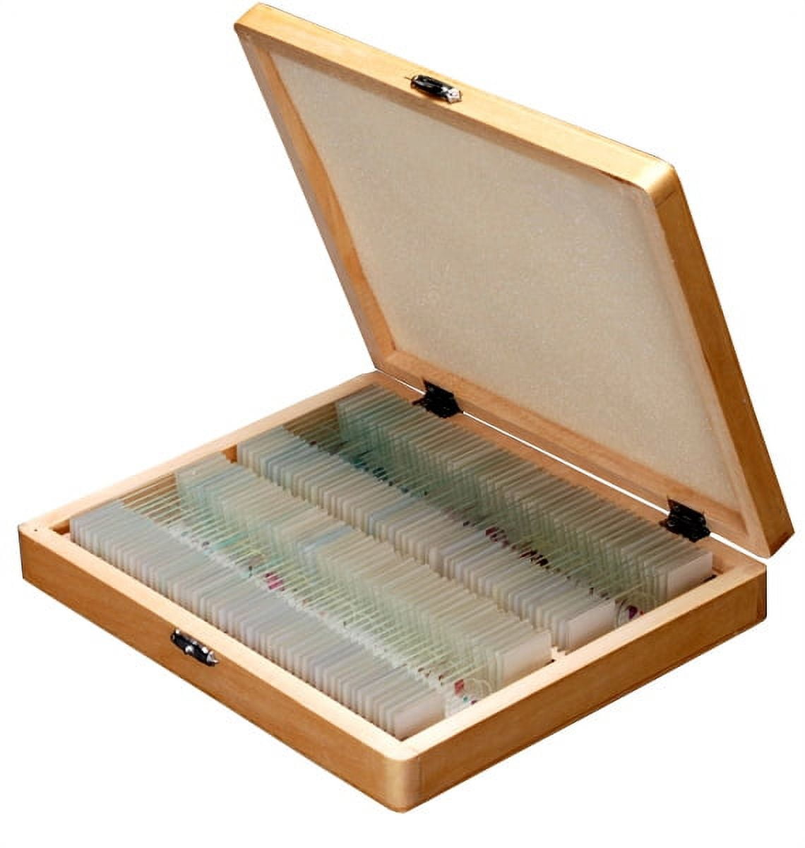 AmScope PS100E Basic Biology Prepared Slide Set for Student and Homeschool Use, Set of 100 Prepared Glass Slides (Set E), Includes Fitted Wooden Storage Box