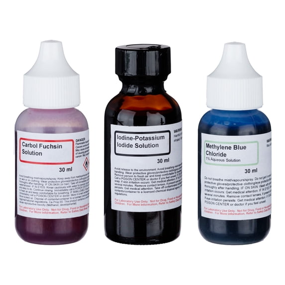 AmScope Simple Stain Kit of Three Chemicals for Preparing Microscope Slides