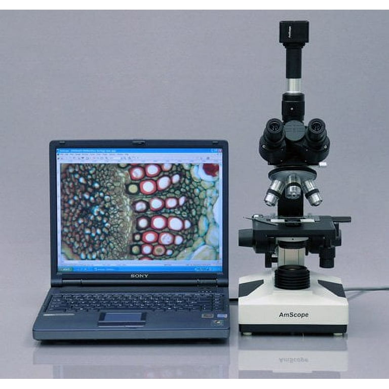 AmScope T490A-M Digital Compound Trinocular Microscope, WF10x and
