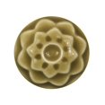 thumbnail image 1 of Amaco Celadon C-32 Pt Ochre, 1 of 1
