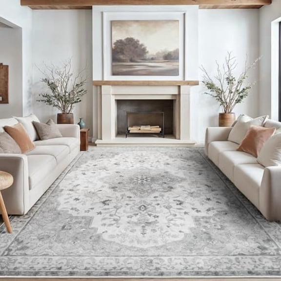 Amada 8x10 Area Rugs, Non-Slip Washable Rug with Low Profile, Durable Bound Edge, Soft Large Vintage Rug for Living Room, Bedroom, Dinning Room, Home Office,Silver Gray