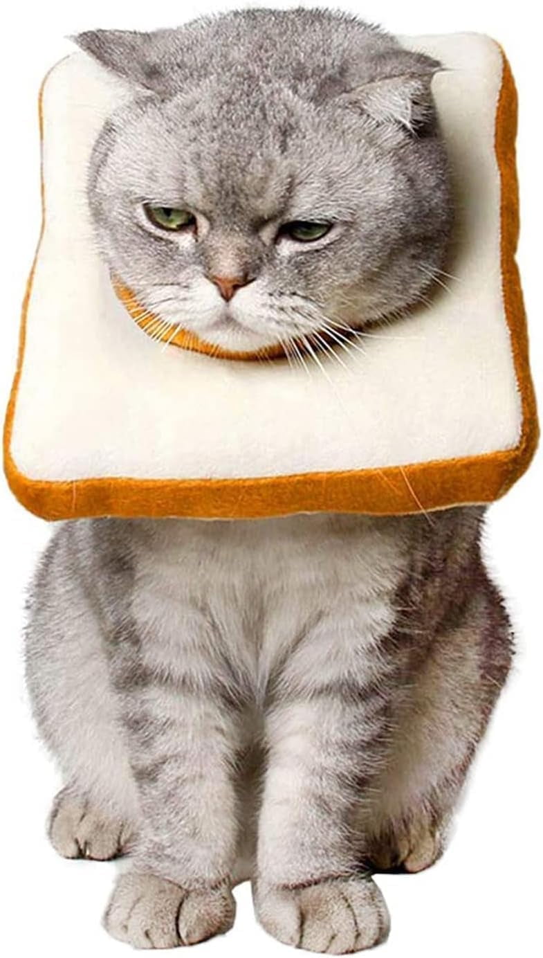 Collar cones for cats hotsell
