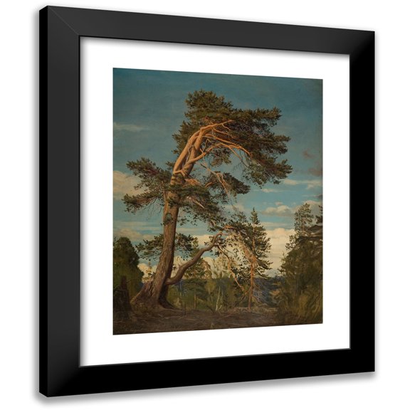 Amaldus Nielsen 15x18 Black Modern Framed Museum Art Print Titled - Old Pine, at the Top of Setesdal (1864)