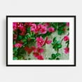 thumbnail image 1 of Amalfi Coast Flowers II - Amalfi Campania Italy Photography Flowers Botanical Floral Garden Nature Tropical Black Framed Wall Art Print 9 x 12 inches, 1 of 8