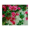 thumbnail image 1 of Amalfi Coast Flowers II - Amalfi Campania Italy Photography Flowers Botanical Floral Garden Nature Tropical Unframed Wall Art Print 16 x 24 inches, 1 of 12